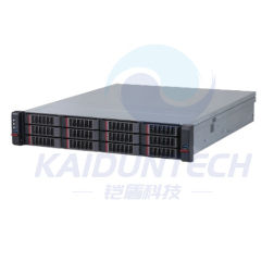 AI Server manufacturer from China